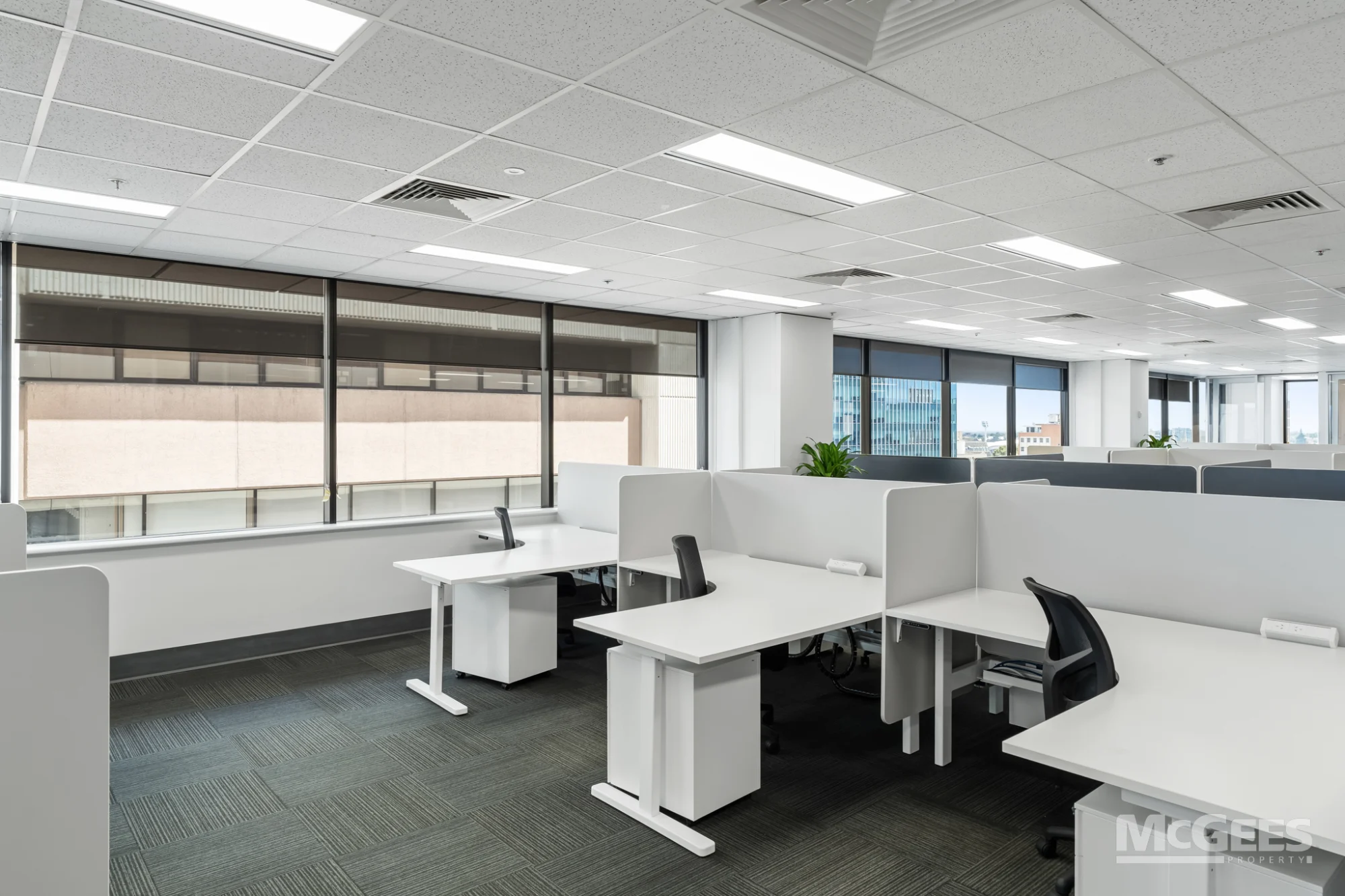 Level 6 Suite 03/115 Grenfell Street, Adelaide — image 15
