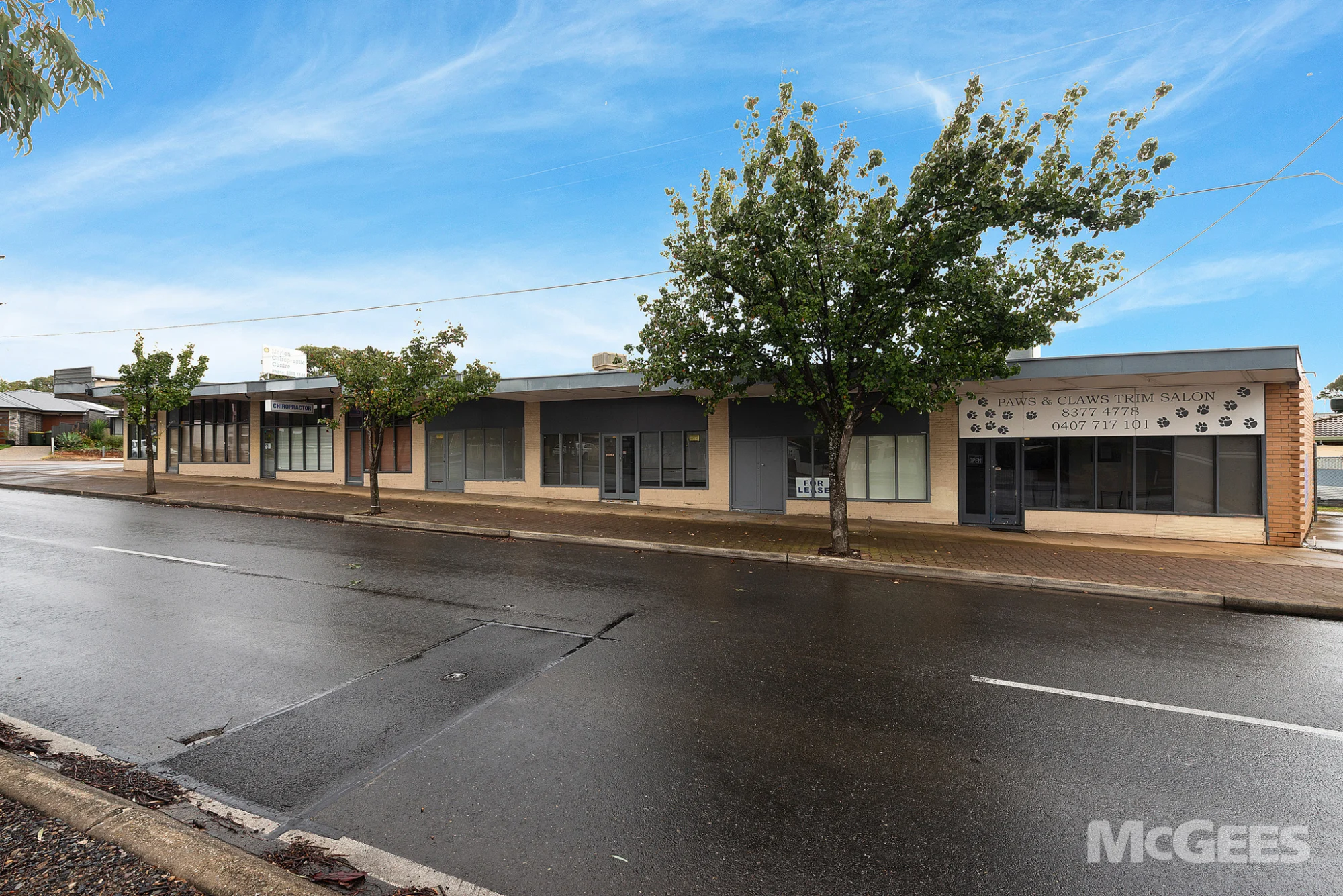 397A Diagonal Road, Sturt — image 4