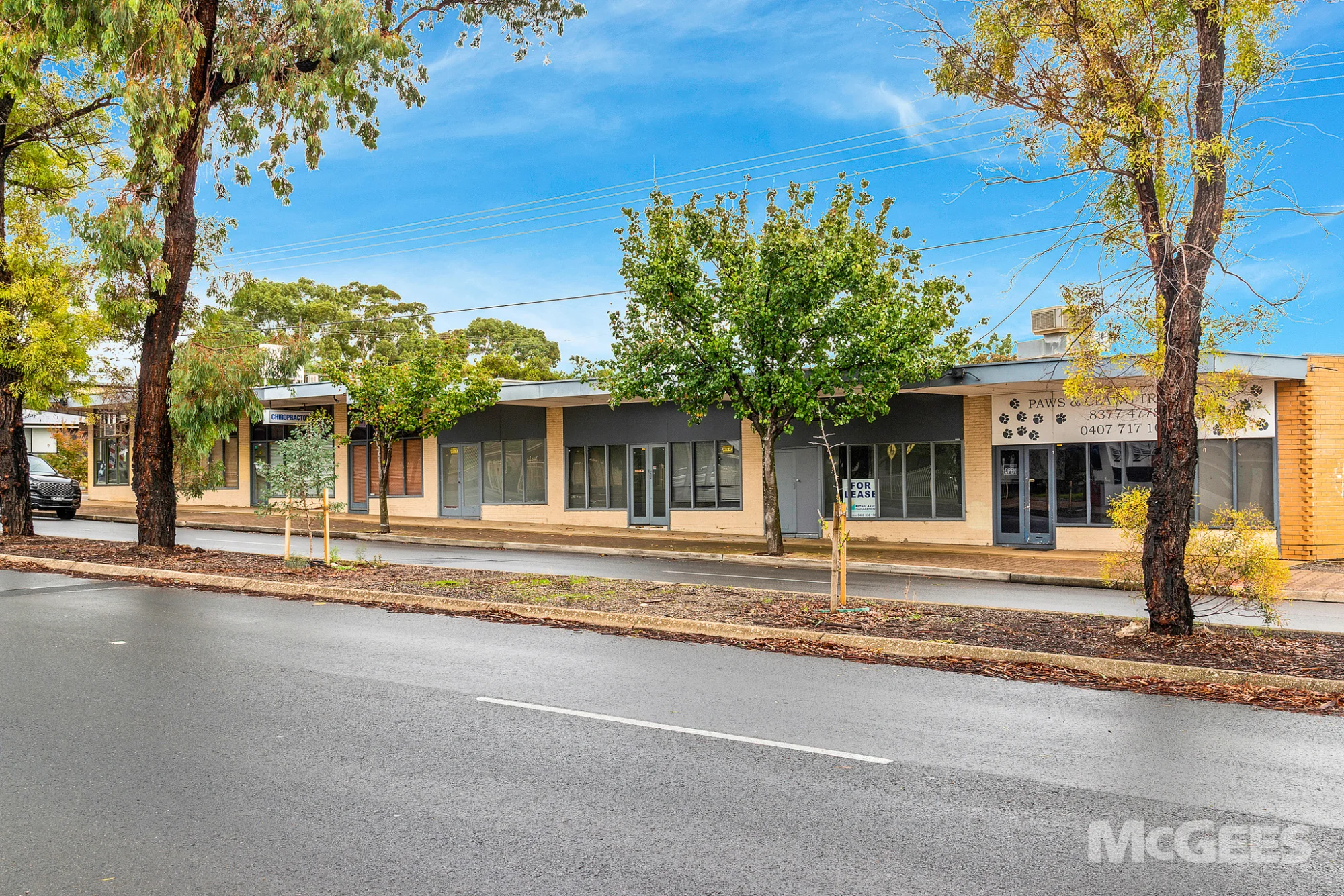 397A Diagonal Road, Sturt — image 1
