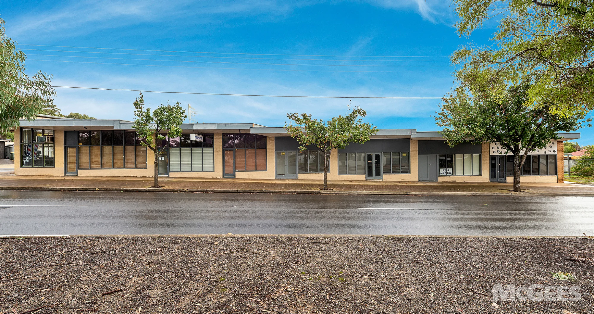 397A Diagonal Road, Sturt — image 3