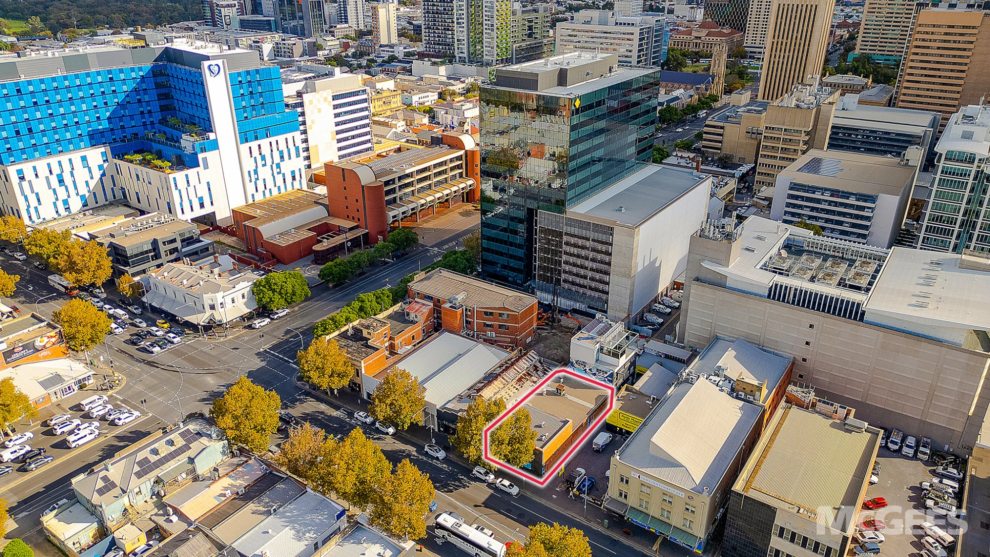 221 Pulteney Street, Adelaide — image 19