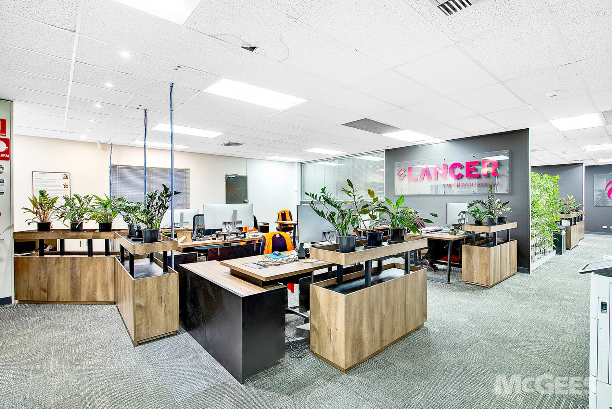 5 Toogood Avenue, Beverley — image 3