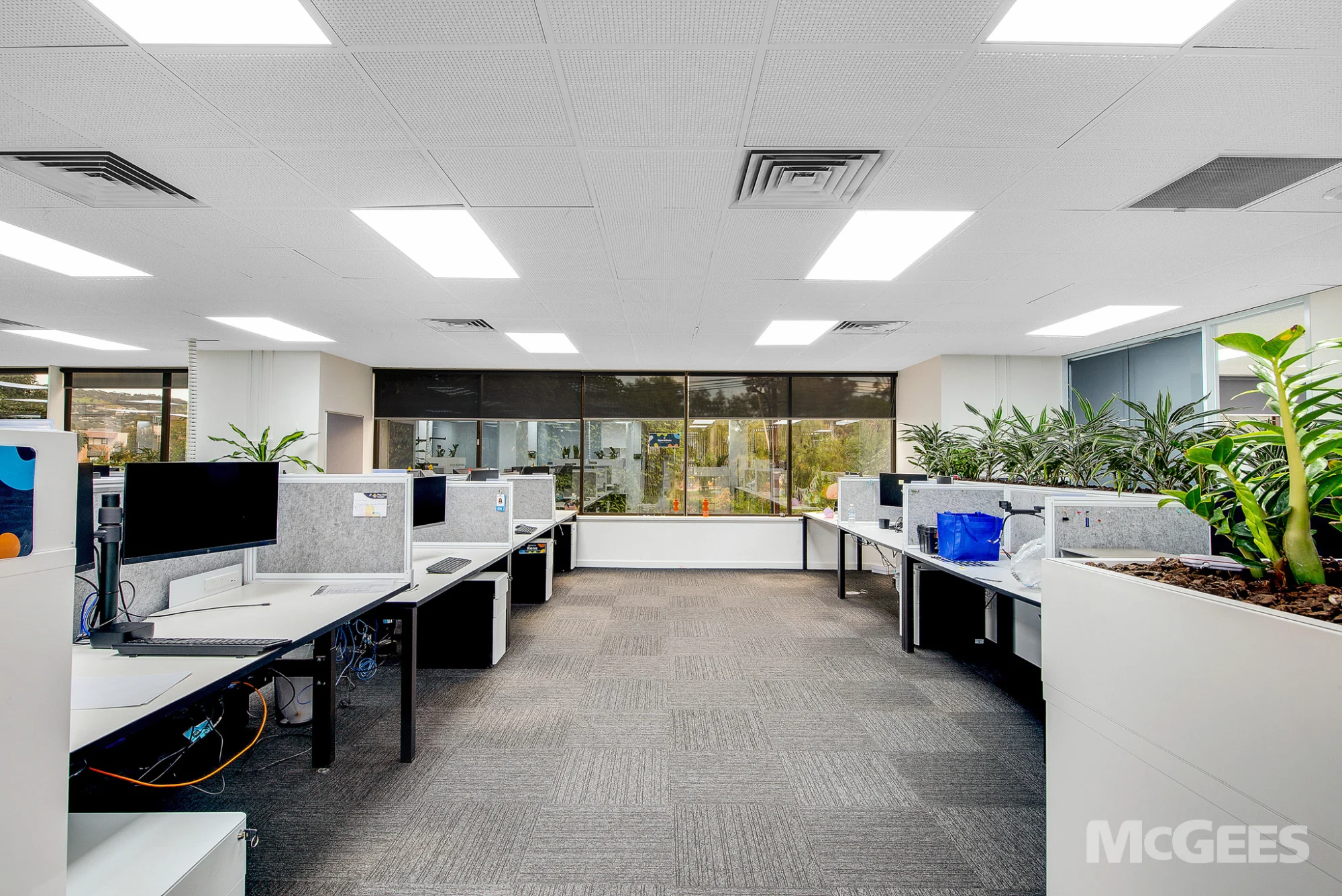 229 Greenhill Road, Dulwich — image 5