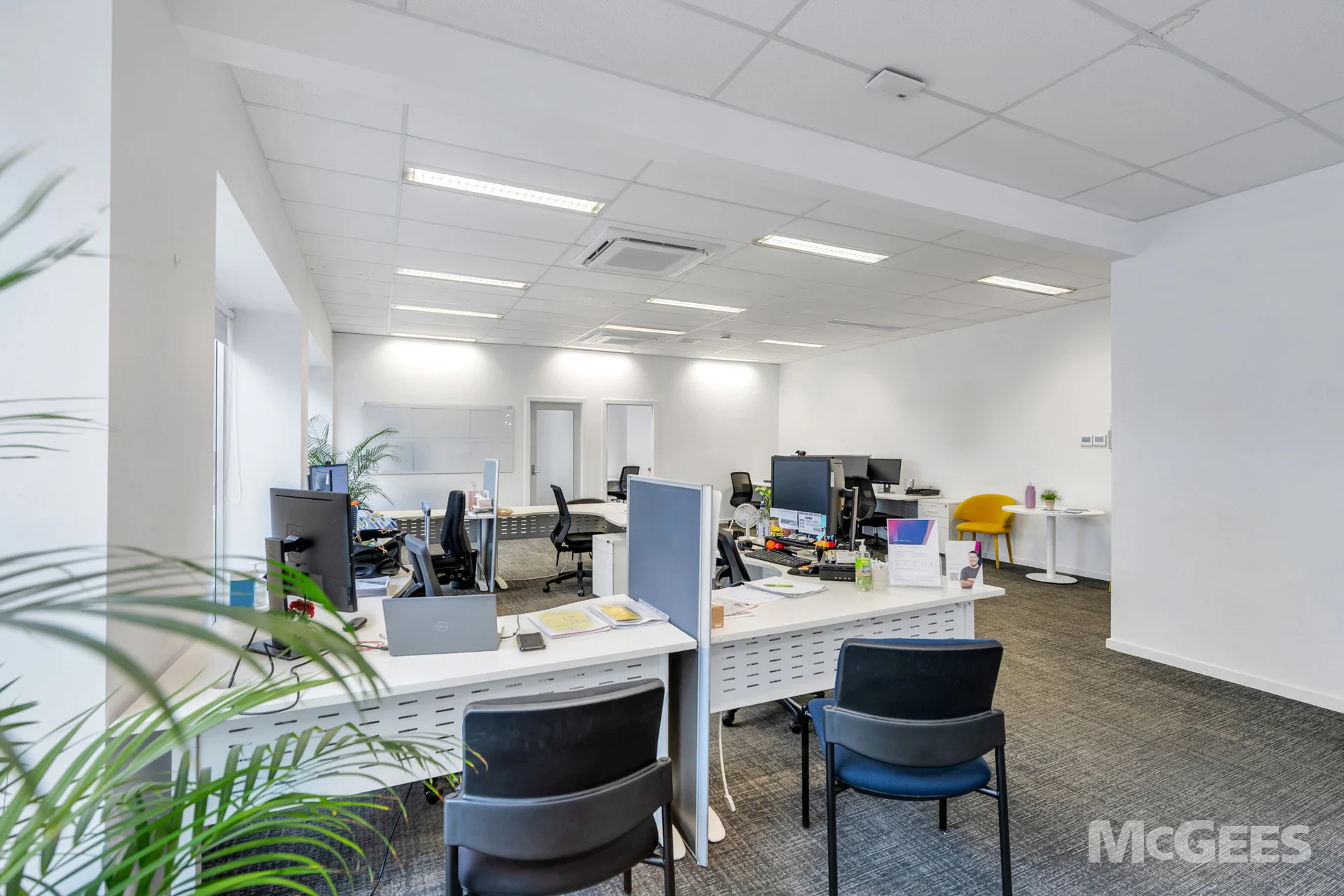 137 The Parade, Norwood — image 4