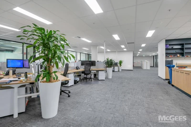 191 Pulteney Street, Adelaide — image 10
